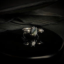 Load image into Gallery viewer, Safe Passage