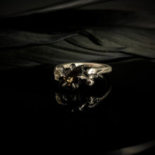 Load image into Gallery viewer, Shadow Guardian