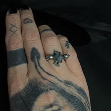 Load image into Gallery viewer, Safe Passage