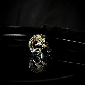 ossua-et-acroamata-jewelery-gothic-goth-gothic-steel-steeljewellery-skull-skulls-memento-mori-Steel-Evil-Ram