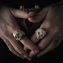 Load image into Gallery viewer, ossua-et-acroamata-jewelery-gothic-goth-mythology-greek-hercules-mythical-gods-demigods-memento-mori-bone-skulls-hand-craved-antler-deerantler-Decay-Skull-Ring
