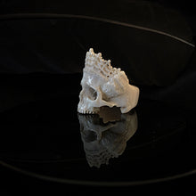 Load image into Gallery viewer, ossua-et-acroamata-jewelery-gothic-goth-mythology-mythical-memento-mori-bone-skulls-hand-craved-antler-deerantler-Dead-Queen-Skull-Ring