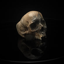 Load image into Gallery viewer, ossua-et-acroamata-jewelery-gothic-goth-mythology-spirit-spirituality-memento-mori-skulls-bone-hand-craved-antler-deerantler-Dark-Skull-Ring