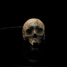 Load image into Gallery viewer, ossua-et-acroamata-jewelery-gothic-goth-mythology-spirit-spirituality-memento-mori-skulls-bone-hand-craved-antler-deerantler-Dark-Skull-Ring