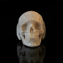 Load image into Gallery viewer, ossua-et-acroamata-jewelery-gothic-goth-mythology-spirit-spirituality-memento-mori-skulls-bone-hand-craved-antler-deerantler-Full-Skull-Ring