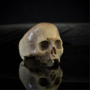ossua-et-acroamata-jewelery-gothic-goth-norse-mythology-memento-mori-bone-hand-craved-antler-deerantler-Dark-Decay-Skull-Ring