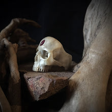 Load image into Gallery viewer, 3rd Eye Ring | Red Eye Skull Ring | OSSUA et ACROMATA