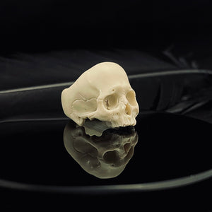 ossua-et-acroamata-jewelery-gothic-goth-memento-mori-sterling-silver-bone-marble-decay-skull-ring