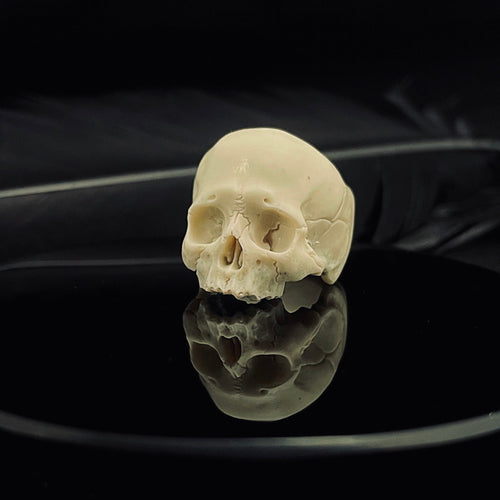 ossua-et-acroamata-jewelery-gothic-goth-memento-mori-sterling-silver-bone-marble-decay-skull-ring