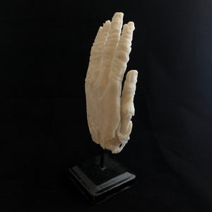 ossua-et-acroamata-jewelery-gothic-goth-gothic-bondedmarble-cast-art-sculpture-memento-mori-Marble-Hand-of-Glory