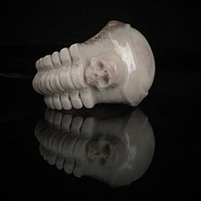 Load image into Gallery viewer, ossua-et-acroamata-jewelery-gothic-goth-memento-mori-sterling-silver-Carved-Antler-Liminal-Ring