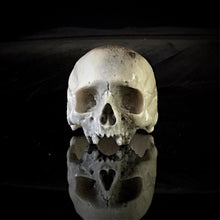 Load image into Gallery viewer, ossua-et-acroamata-jewelery-gothic-goth-memento-mori-sterling-silver-bone-hand-craved-antler-deerantler-dark-decay-skull-ring