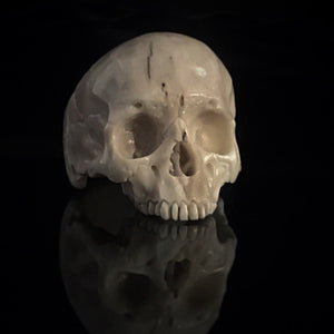 ossua-et-acroamata-jewelery-gothic-goth-mythology-greek-hercules-mythical-gods-demigods-memento-mori-bone-skulls-hand-craved-antler-deerantler-Decay-Skull-Ring