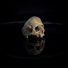 Load image into Gallery viewer, ossua-et-acroamata-jewelery-gothic-goth-mythology-mythical-memento-mori-bone-skulls-hand-craved-antler-deerantler-Decay-Skull-Ring