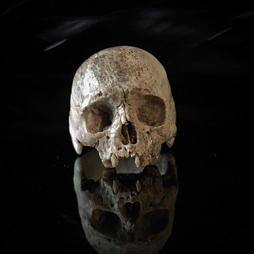 ossua-et-acroamata-jewelery-gothic-goth-mythology-mythical-memento-mori-bone-skulls-hand-craved-antler-deerantler-Decay-Skull-Ring