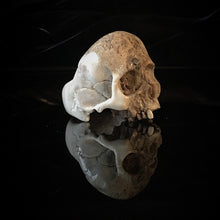 Load image into Gallery viewer, ossua-et-acroamata-jewelery-gothic-goth-mythology-mythical-memento-mori-bone-skulls-hand-craved-antler-deerantler-Decay-Skull-Ring