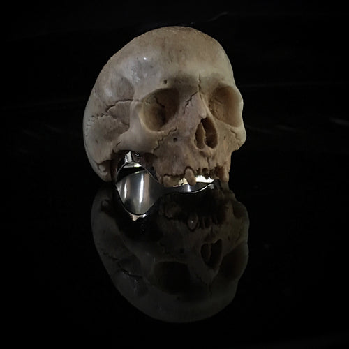 ossua-et-acroamata-jewelery-gothic-goth-mythology-spirit-spirituality-memento-mori-skulls-bone-925-inlay-sterling-silver-hand-craved-antler-deerantler-Dark-Skull-Ring