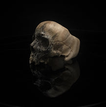 Load image into Gallery viewer, ossua-et-acroamata-jewelery-gothic-goth-mythology-spirit-spirituality-memento-mori-skulls-bone-hand-craved-antler-deerantler-Dark-Skull-Ring