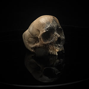 ossua-et-acroamata-jewelery-gothic-goth-mythology-spirit-spirituality-memento-mori-skulls-bone-hand-craved-antler-deerantler-Dark-Skull-Ring