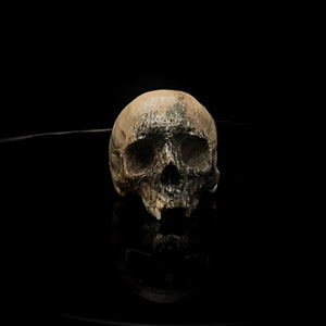 ossua-et-acroamata-jewelery-gothic-goth-mythology-spirit-spirituality-memento-mori-skulls-bone-hand-craved-antler-deerantler-Dark-Skull-Ring