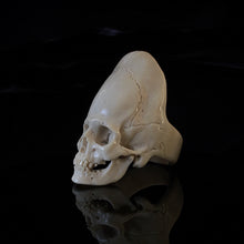 Load image into Gallery viewer, ossua-et-acroamata-jewelery-gothic-goth-mythology-spirit-spirituality-proto-nazca-memento-mori-skulls-bone-inlay-hand-craved-antler-deerantler-Elongated-Skull-Ring