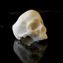 Load image into Gallery viewer, ossua-et-acroamata-jewelery-gothic-goth-norse-mythology-memento-mori-bone-hand-craved-antler-deerantler-Skull-Ring