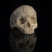 Load image into Gallery viewer, ossua-et-acroamata-jewelery-gothic-goth-pirates-mythology-memento-mori-skulls-bone-hand-craved-antler-deerantler-Skull-Ring-normal