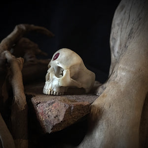 3rd Eye Ring | Red Eye Skull Ring | OSSUA et ACROMATA